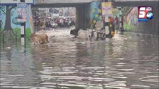 Ise Kehte Hai Sachi aur Pakki Wafadari - Kutto Ki Wafadari Ki Misal Puri Duniya Me Di Jati Hai |