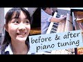 Can You Hear the Difference Between Before & After Piano Tuning? | Tiffany Vlogs #21
