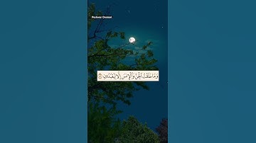 وَمَا خَلَقۡتُ ٱلۡجِنَّ وَٱلۡإِنسَ إِلَّا لِيَعۡبُدُونِ (٥٦)  سورة الذاريات - سعد الغامدي