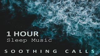1 Hour of Sleep Music | Land on the Golden Gate by Chris Zabriskie | | Soothing Calls | ambient-calm screenshot 4