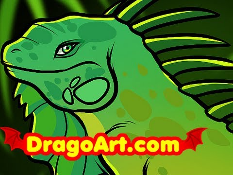 how-to-draw-an-iguana,-iguana,-step-by-step