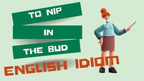 English Idiom | To Nip In The Bud.(bilingual)| SK Videos