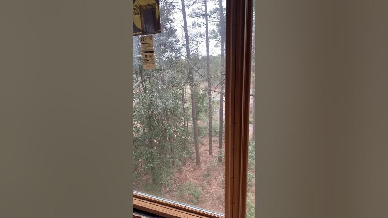 Property for sale in Highland Park, Aiken, SC YouTube