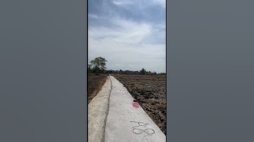 Bán 348m2 Đất lúa được chuyển thổ cư xã phước đông cần đước Long An Giá 600 #bandatlua