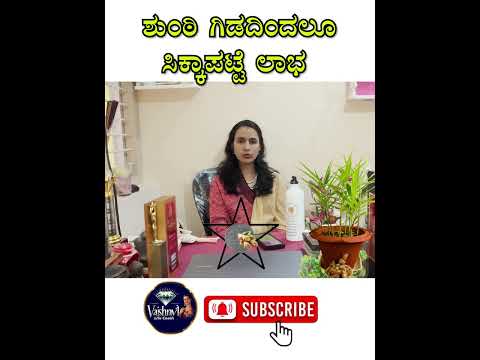 ಶುಂಠಿ ಗಿಡದಿಂದ ದುಡ್ಡು ಆಕರ್ಷಿಸಬಹುದು | Money Manifestation In Ginger Plant #moneymanifestation