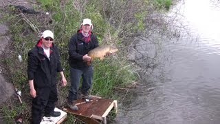 Carp Fishing from Shore - How to Catch Carp Using a Bolt Rig