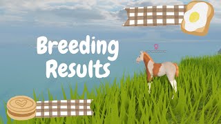 🥕Breeding Results🥕|| Wild Horse Island || Roblox
