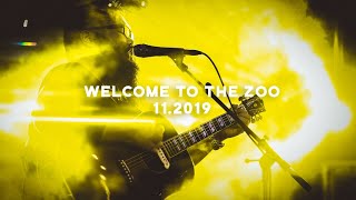 Welcome to the Zoo - 11.2019