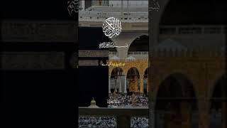 #SurahAlImran#QuranRecitation#HolyQuran#IslamicReminder#QuranVerses#IslamicVideo#Deen#IslamicShorts