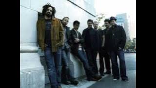 Counting Crows - shallow days