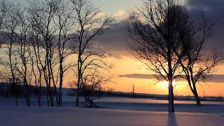 JANUARY