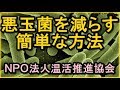 【腸内環境　改善】悪玉菌を減らす簡単な方法