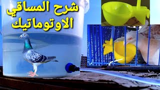 شرح نظام المساقي الاوتوماتيك للسلاكات الحمام (ريح دماغك من شيل الميه)😂😂😂😂😂 #ناصرخليل