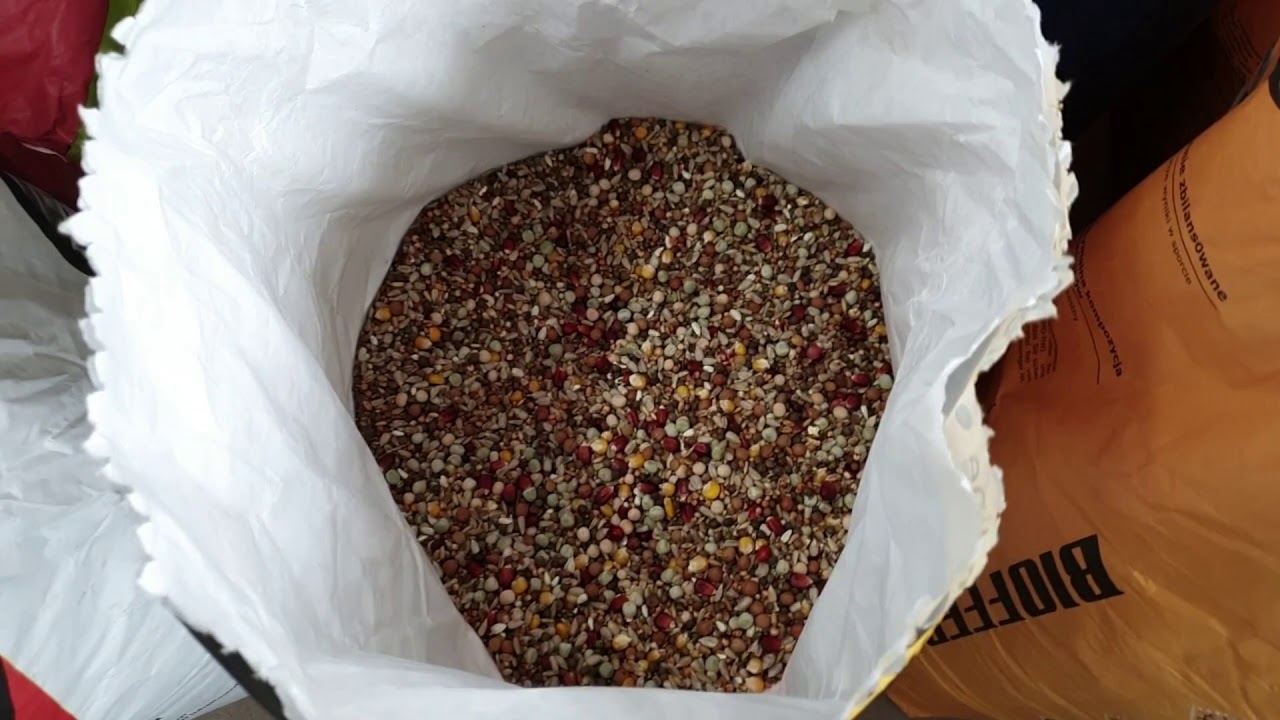 CALA PRAWDA O KARMACH I KARMIENIU 👌👌👌