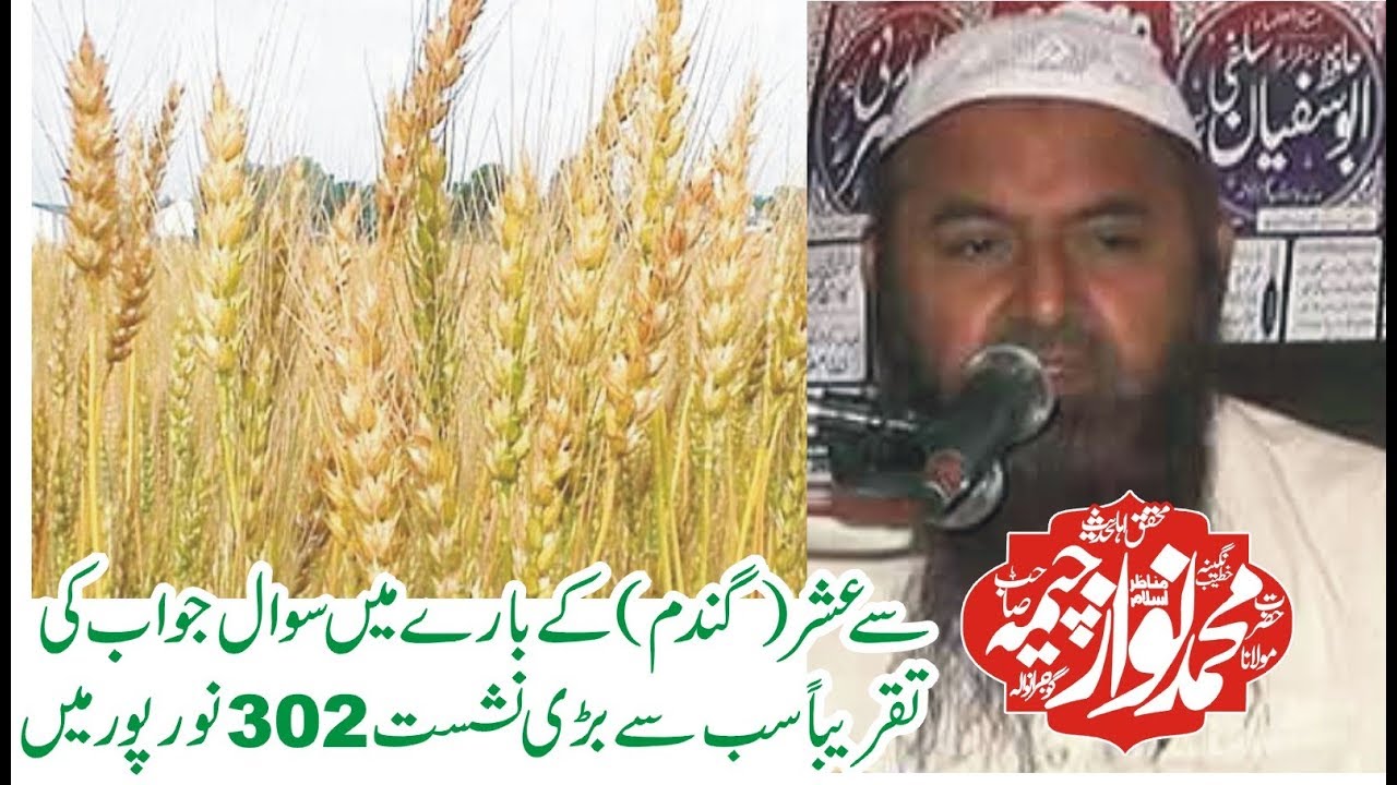 molana muhammad nawaz chima 17 4 2019 302