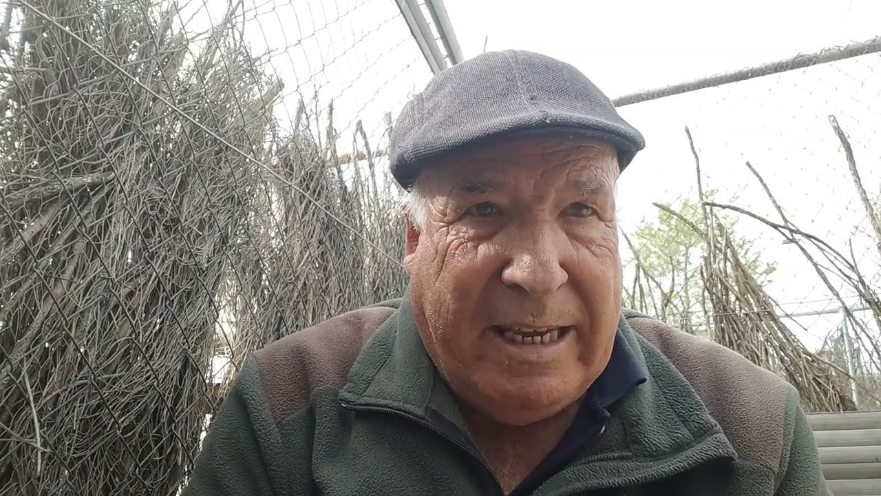 Perdigoneros kon buenos kotos