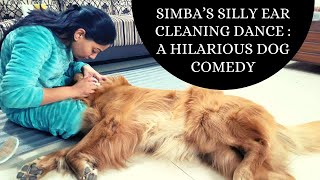 Simba’s silly ear cleaning dance : A hilarious dog comedy