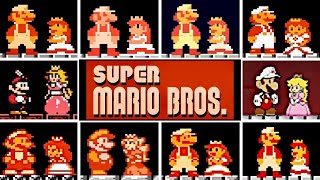 Evolution of Mario Rescuing The Princess in Super Mario Bros. 1