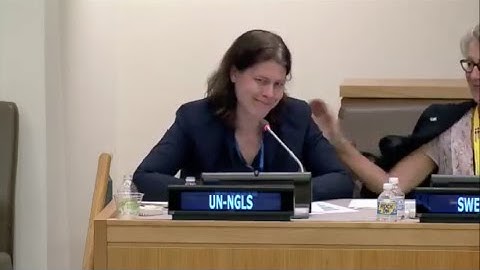 Ms. Susan Alzner - UN-NGLS - High Level CSO Event of UN Sustainable Development Summit