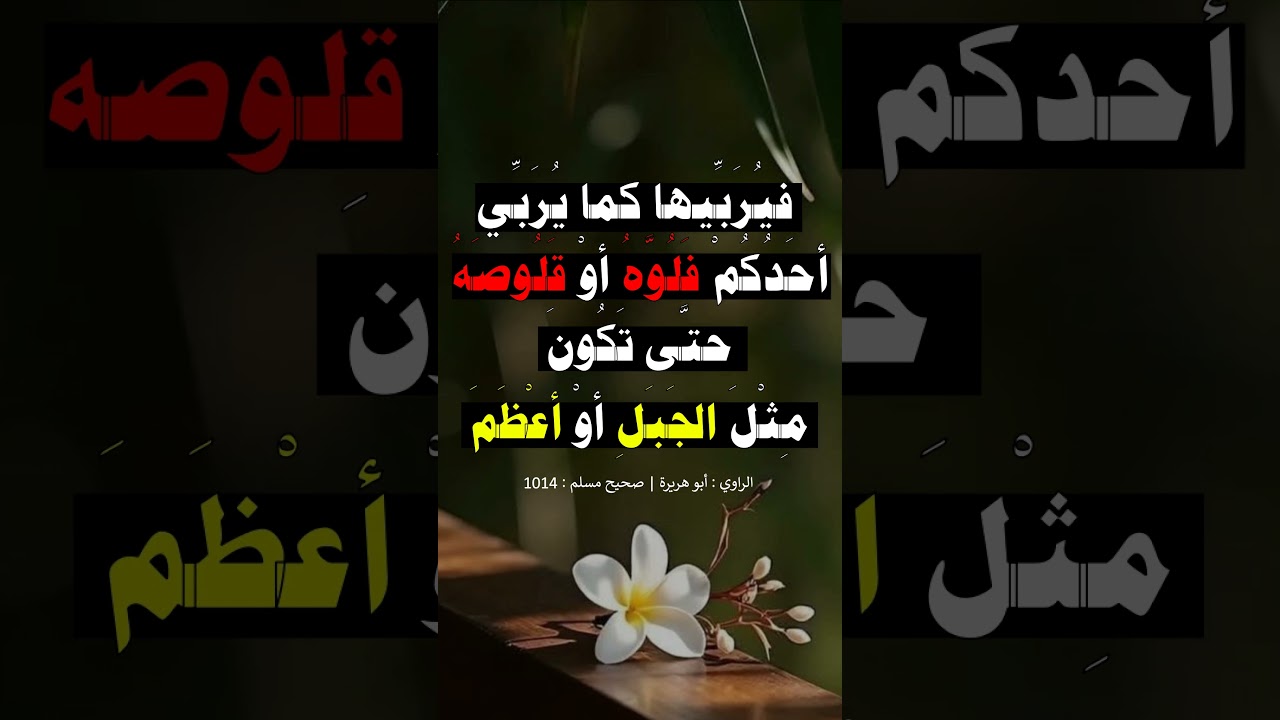 لا يتصدق أحدكم بتمرة من كسب طيب - الشيخ عبد الرزاق البدر