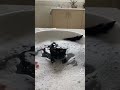 @podkast_kot on @tiktok 💧💦🐱