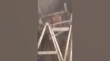 ١٩ يوليو ٢٠٢٥ 