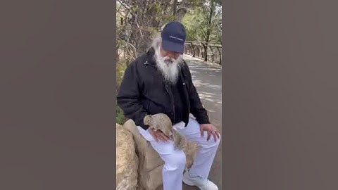 YESUDAS LATEST VIDEO PLAYING WITH A SQUIRREL AT ARIZONA USA