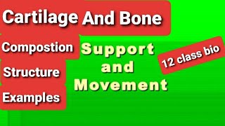 Support And Movement Class 12 Biology|Introduction|Bones and Cartilage|Composition|Cartilage Types| screenshot 4