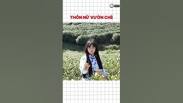 BIẾN HÌNH CHECK IN #tiktok #mridolike #trendtiktok #trendbienhinh #gaixinhtiktok #trend