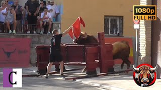 Juslibol. Suelta de Reses en Calle | 28/07/2024 | Ganad. Hnos Colomer