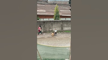 #bachpan #cutebaby #india #iccchampionstrophy2025 #music #song #funny #cutebaby