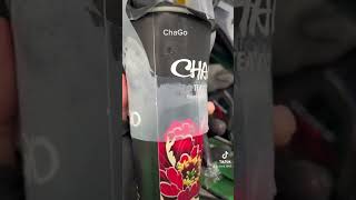 Tr Xanh Sa Chago V Mi