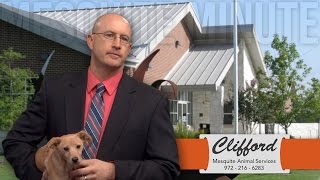 Mesquite Minute 3/17/16