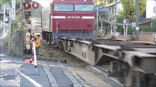 JR貨物　ED76 1021形　機関車が牽引する。  寺ノ下踏切　撮影日2023 11 27