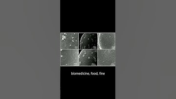 An Overview of Pickering Emulsions: Solid-Particle Materials, Classification, Morphol... | RTCL.TV