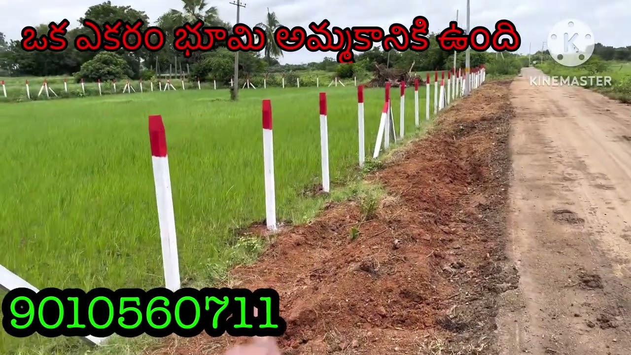 ఒక ఎకరం భూమి అమ్మకానికి ఉంది బీటీ రోడ్ బిట్టు ఒక ఎకరం ధర44 లక్షలు రైతు దగ్గర ఉంది వరంగల్ హైవే కి 5km
