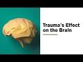 06-03-25 Behavioral Health ECHO | Trauma Informed Care- Dr. Daniel Nead