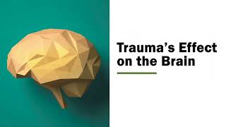 06-03-25 Behavioral Health ECHO | Trauma Informed Care- Dr. Daniel Nead