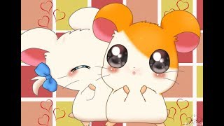 Hamtaro Eng Dub Ep 61-70