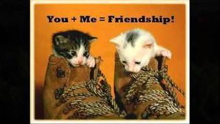 Cry On My Shoulder - DSDS with lyric