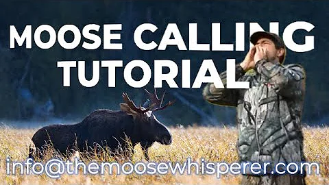 HOW TO CALL A MOOSE : Mastering Moose Calls: A Comprehensive Tutorial #moosehunting #moosecraft