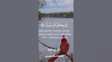 قران كريم ارح قلبك وسمعك #قران_في_دقيقة #اسلام_صبحي #quran #المصحف #قران @قران_في_دقيقه