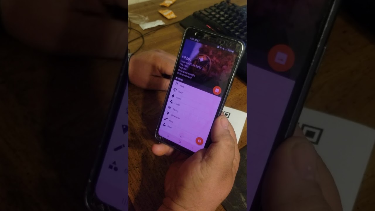 Part 2 of Reptile Scan