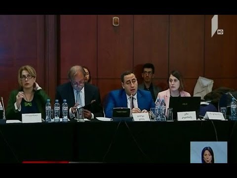 კოალიციის „ძალა ერთობაშია“ შეხვედრა არასამთავრობოებთან