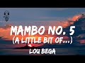 Gambar cover Lou Bega - Mambo No. 5  A little bit   Lyrics 