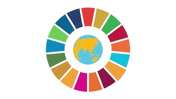 Monitoring the 2030 Agenda for Sustainable Development: the role of  FAO