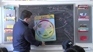 mark twain science test prep 17/200