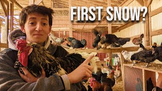 Winter Storm Coming | Prepping The Coop NOW