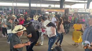 Los Mejores Bailes Del Valle En La Pulga De Alamo TX by Corazón Del Rancho  2,169 views 13 days ago 3 minutes, 1 second