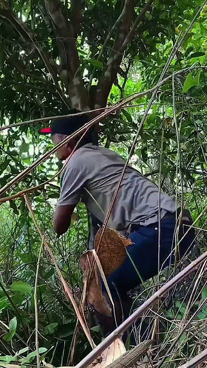 Want to laugh but afraid of sin !! Tik Tok viral humor #comedy